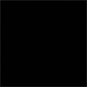 Meet your Posher, Darien